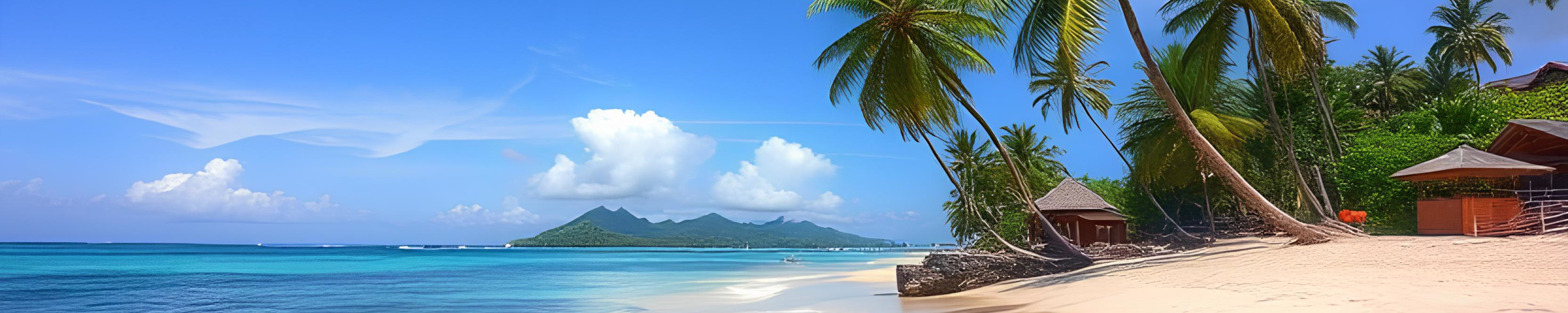 Island Time Vibes